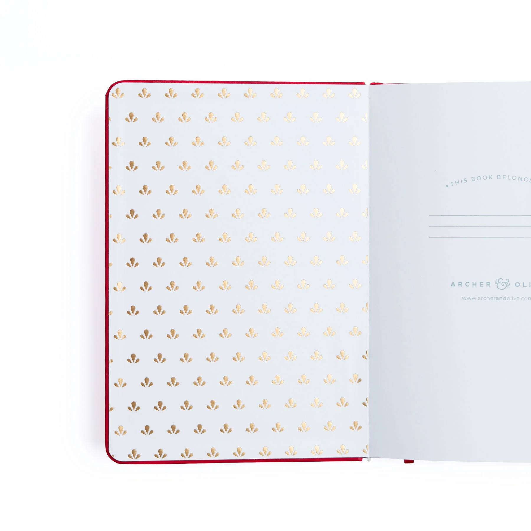 Frog - Dot Grid Notebook - 128 pages - Image 5
