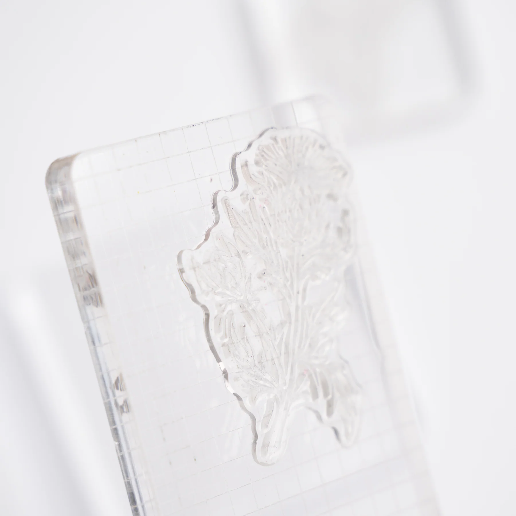 Forest Foliage Acrylic Stamps - Image 7