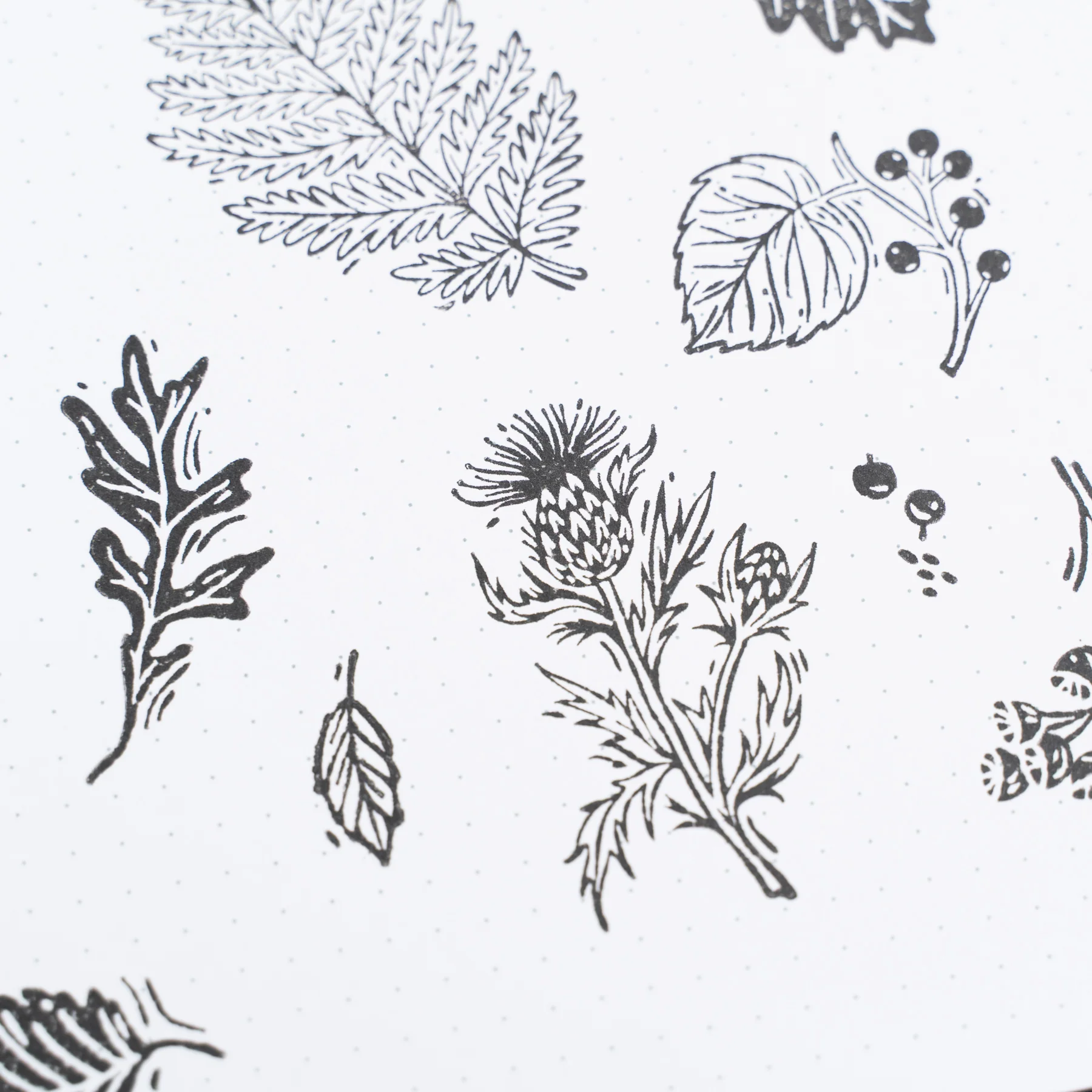 Forest Foliage Acrylic Stamps - Image 4