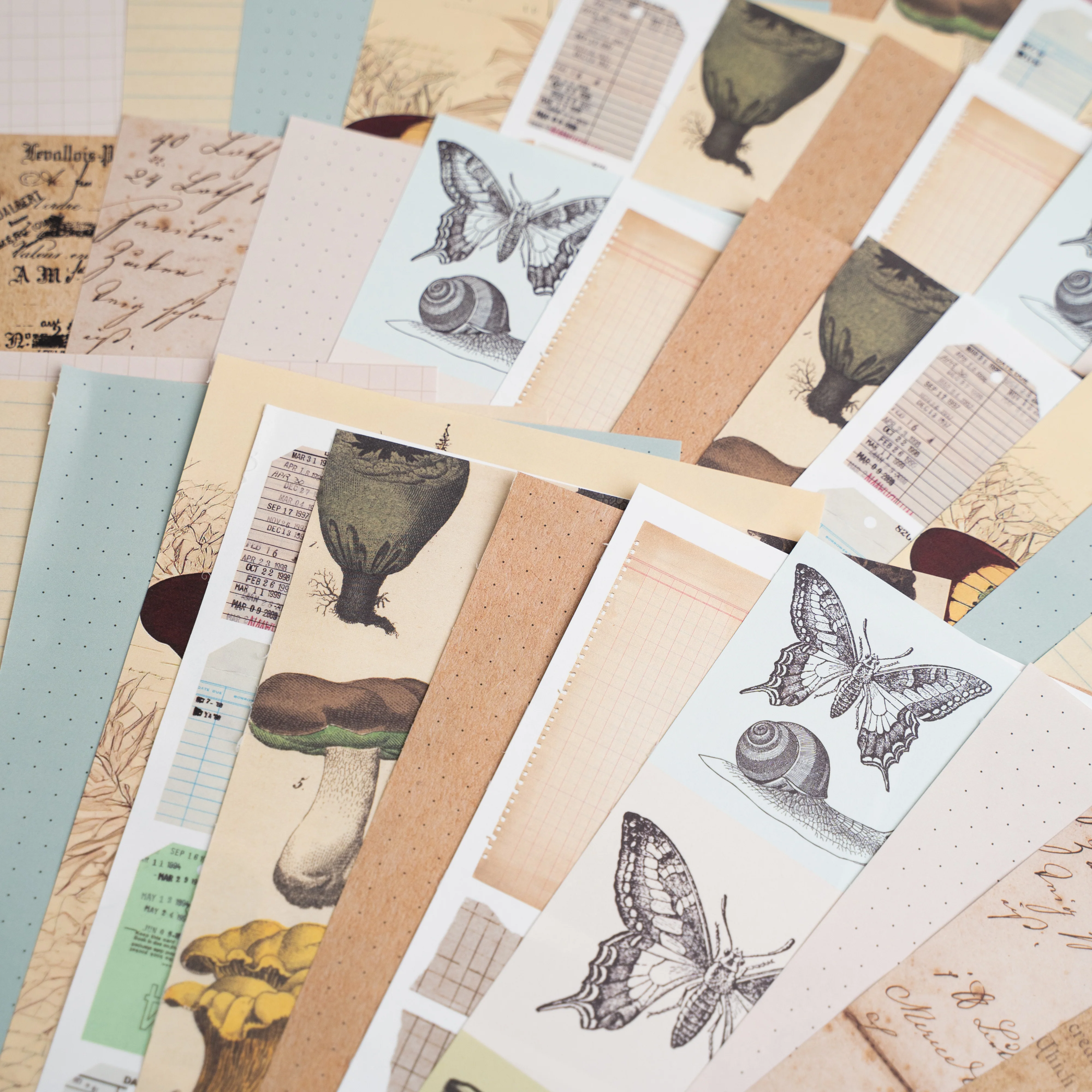 Bonnies Fave Collage Papers - Image 3