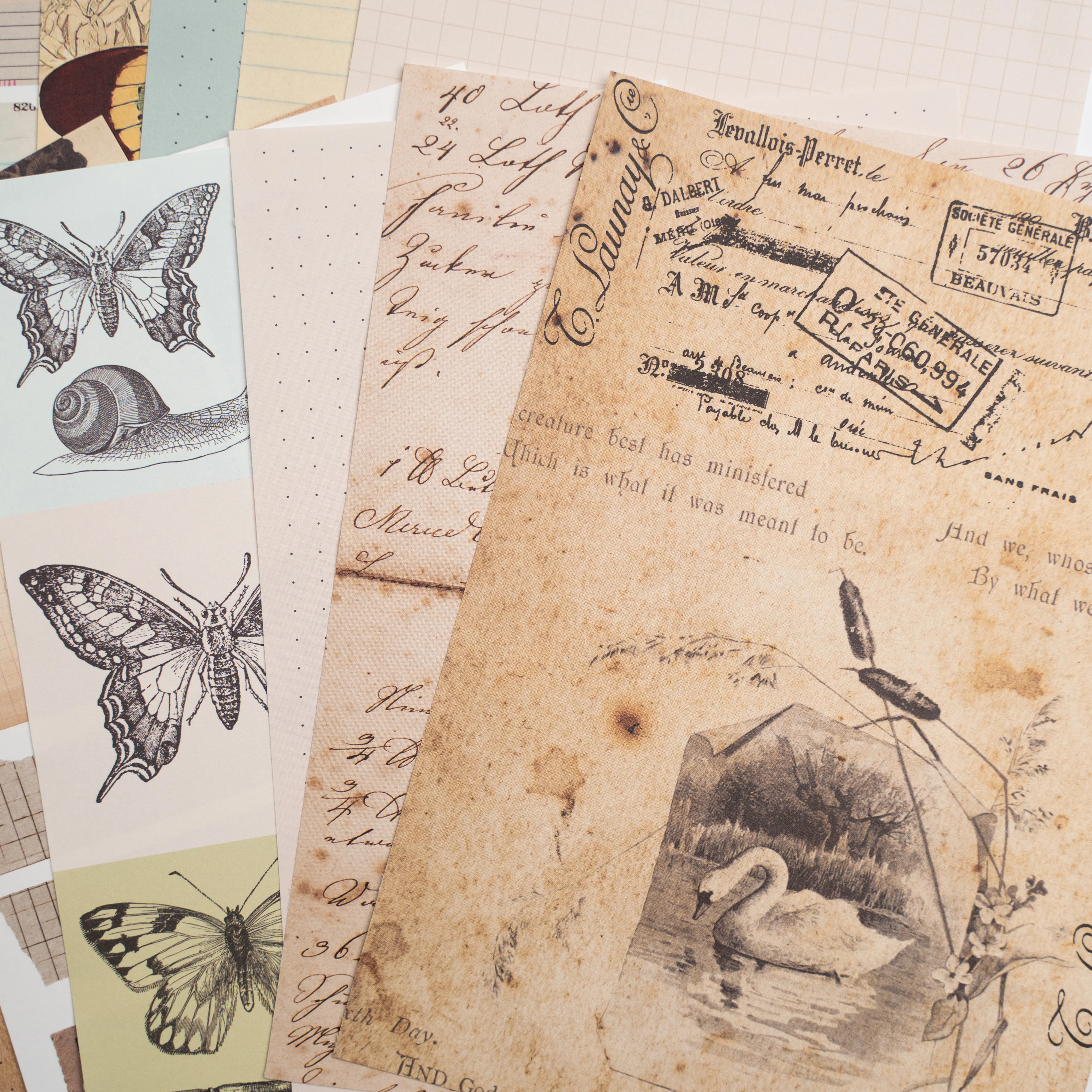 Bonnies Fave Collage Papers - Image 4