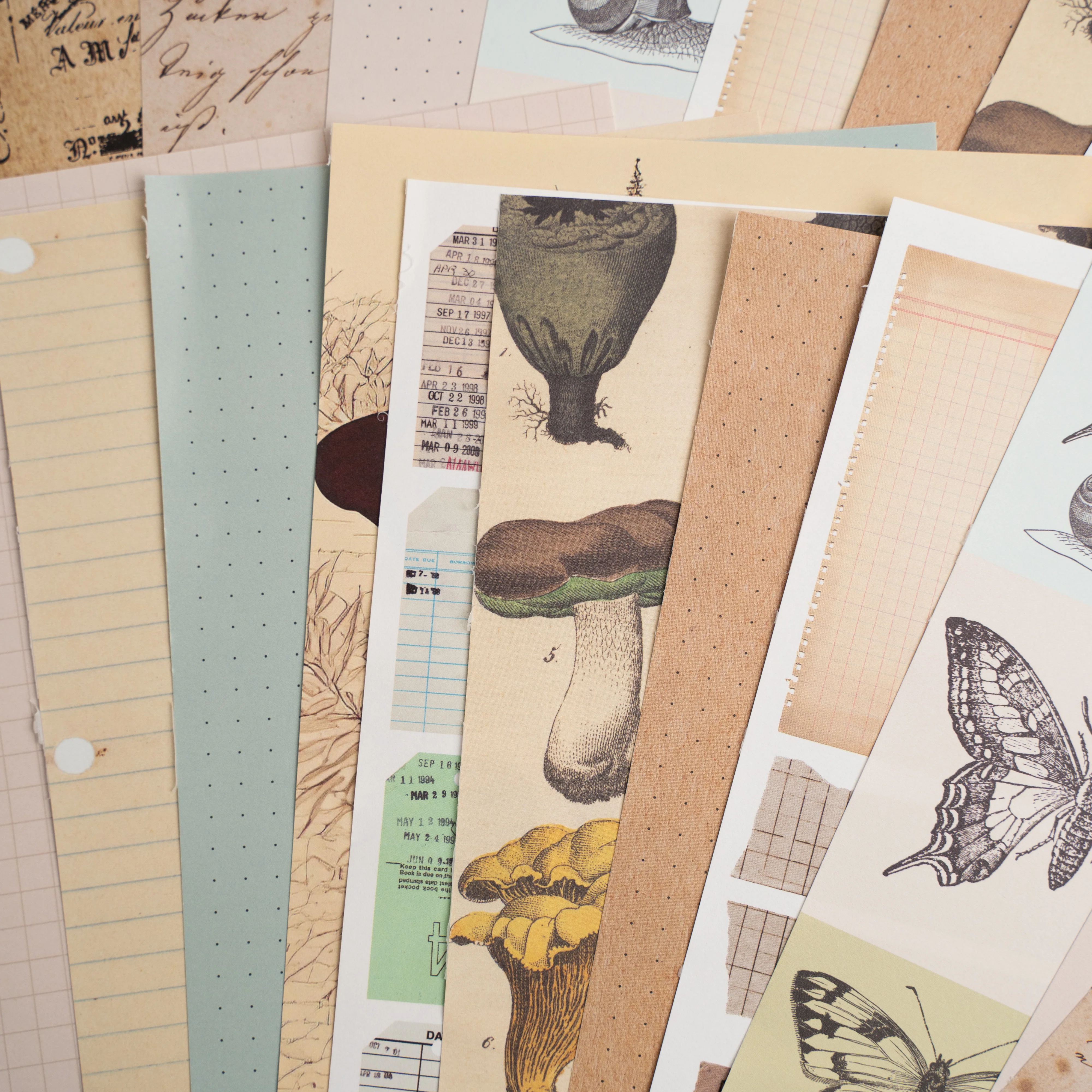 Bonnies Fave Collage Papers - Image 5