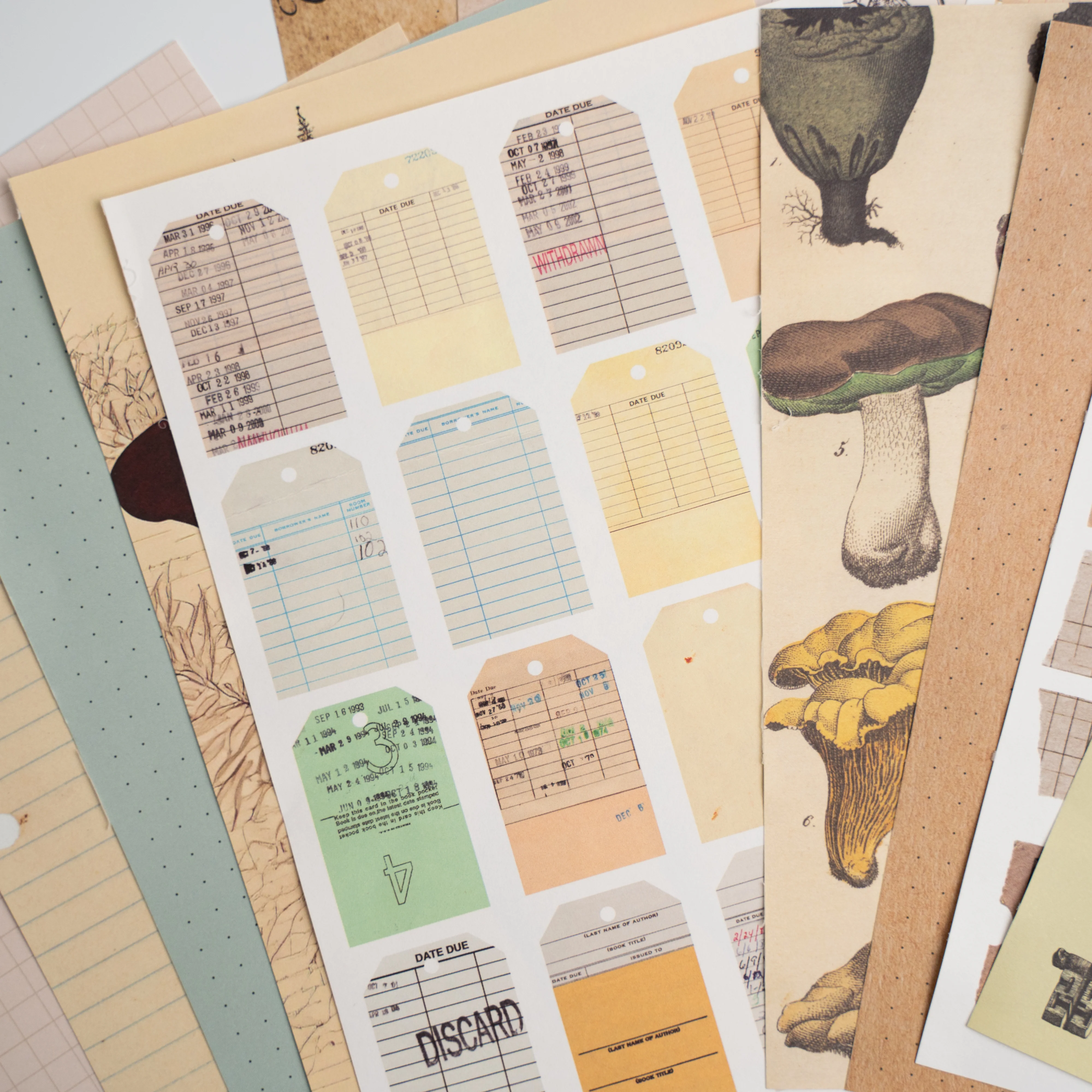 Bonnies Fave Collage Papers - Image 6