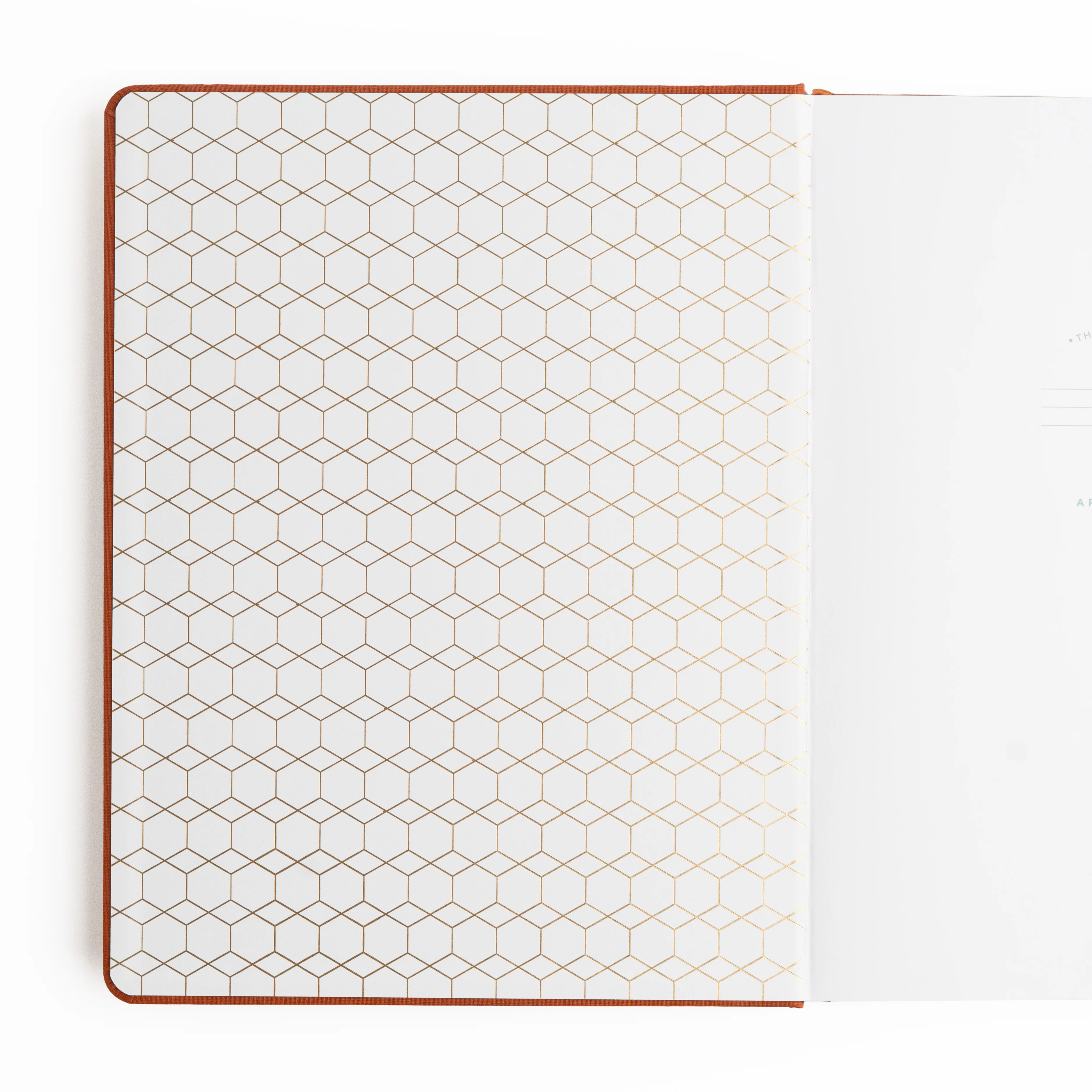 Keeper of the Bees in Rust: Notebook - Image 9