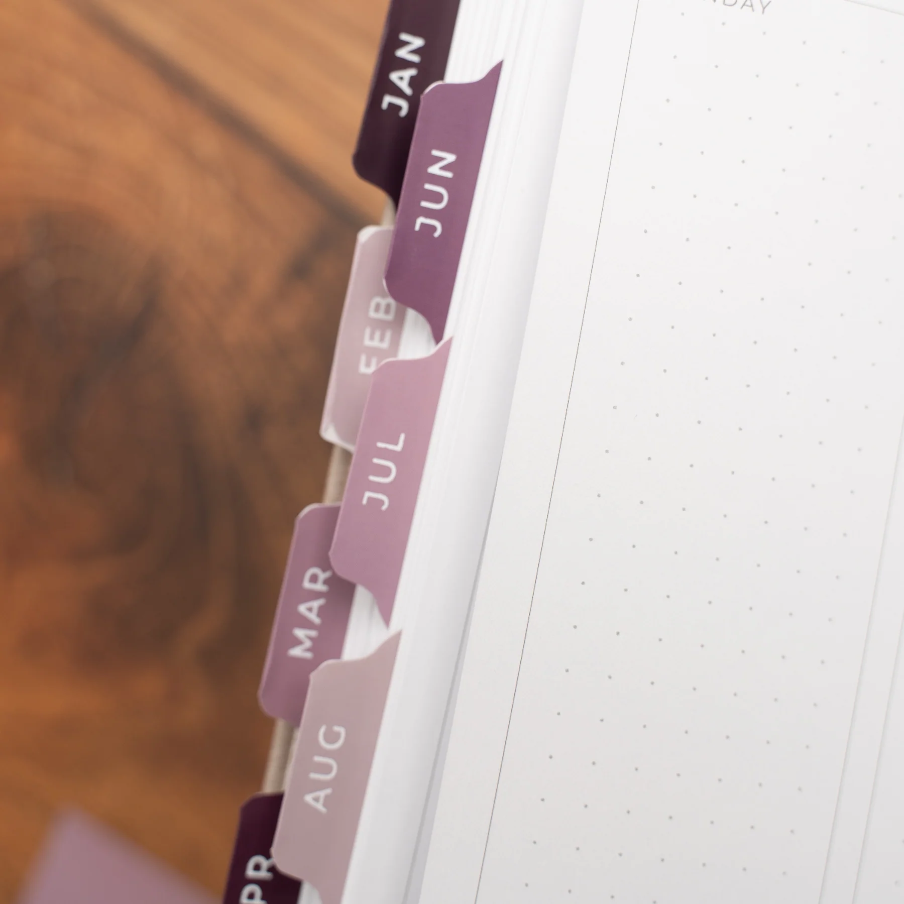 Vinyl Planner Tabs - Songbird - Image 5